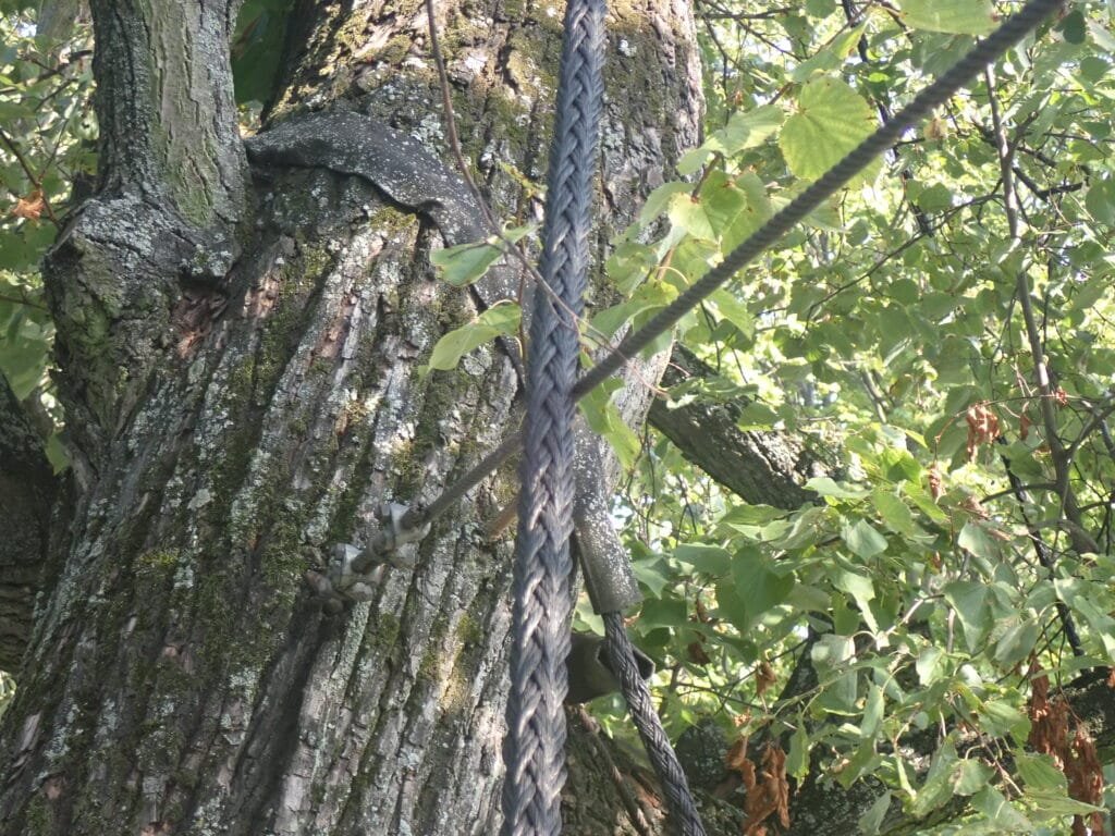 Wiązanie syntetyczne trące o wiązanie stalowe