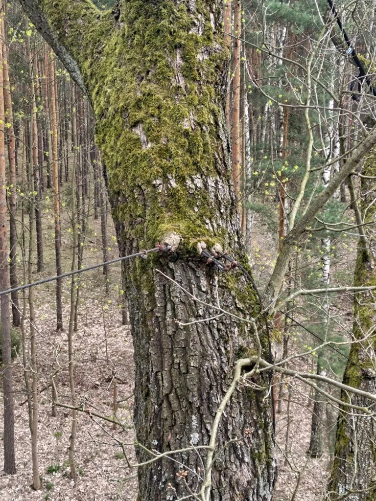 Zerwane wiązanie przewiertowe (po prawej)