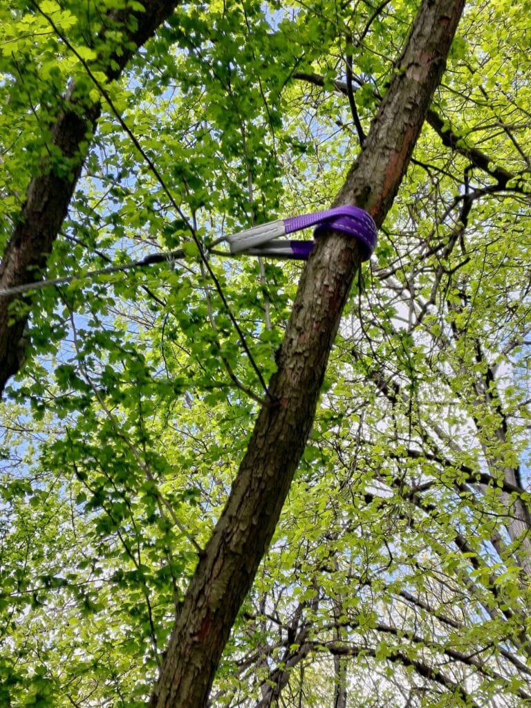 Wiązanie wykonane z zawiesi pasowych, nieposiadające certyfikacji pod kątem utrzymywania nominalnej nośności pomimo narażenia na warunki atmosferyczne w wymaganym okresie. Ponadto sposób montażu powoduje zaciskanie na pniu.