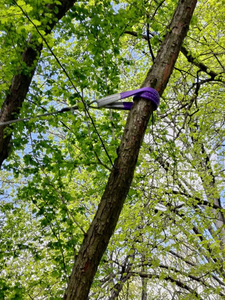 Wiązanie wykonane z zawiesi pasowych, nieposiadające certyfikacji pod kątem utrzymywania nominalnej nośności pomimo narażenia na warunki atmosferyczne w wymaganym okresie. Ponadto sposób montażu powoduje zaciskanie na pniu.